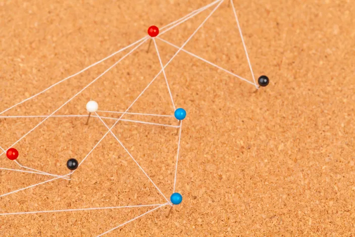 A Comprehensive Guide to Canonical Links: Their Crucial Role and Substantial SEO Value for Managing Duplicate Content